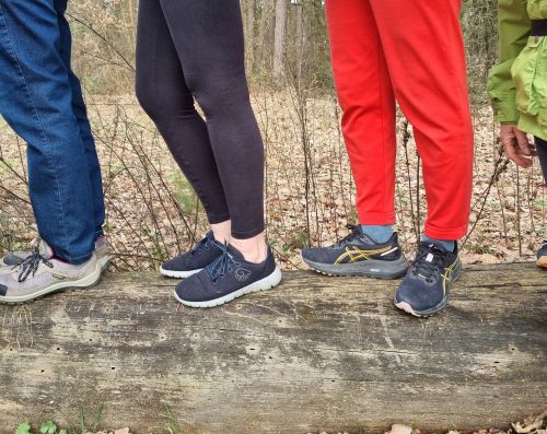 Foto: Michael Schradi